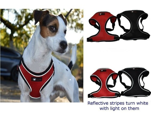 Dog breathable reflective - breathable, mesh